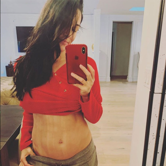 Nikki Bella, Instagram, enceinte